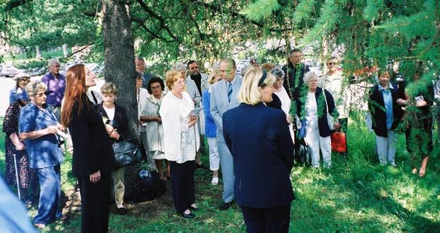 Laatan paljastaminen